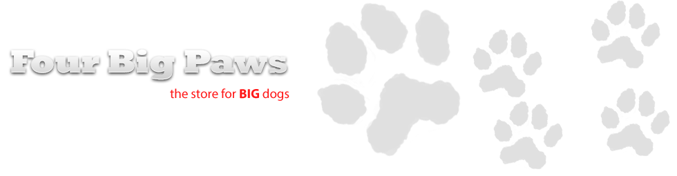 Four Big Paws