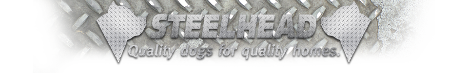 steelhead pits