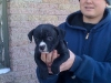 6-weeks2