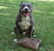 photos-page-ruger
