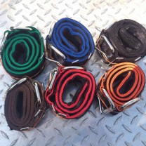Big dog collars side shot
